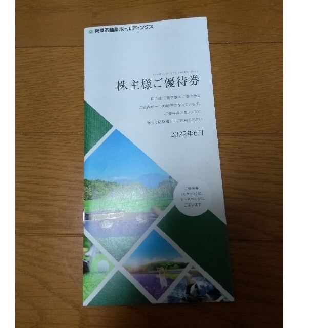 東急不動産ホールディングス　株主優待券 チケットの優待券/割引券(宿泊券)の商品写真