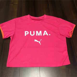 プーマ(PUMA)のPUMA プーマ 派手Tシャツ☆スポーツ ダンス ヨガ ランニング(ウェア)