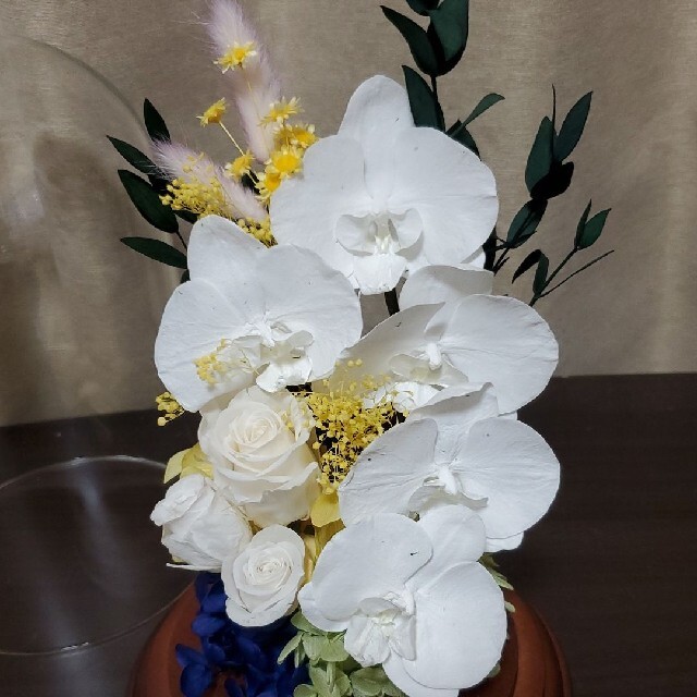 特選 仏花 お供え花 ガラスドーム 胡蝶蘭 プリザーブドフラワー 特選 仏花 お供え花 ガラスドーム 胡蝶蘭 プリザーブドフラワー
