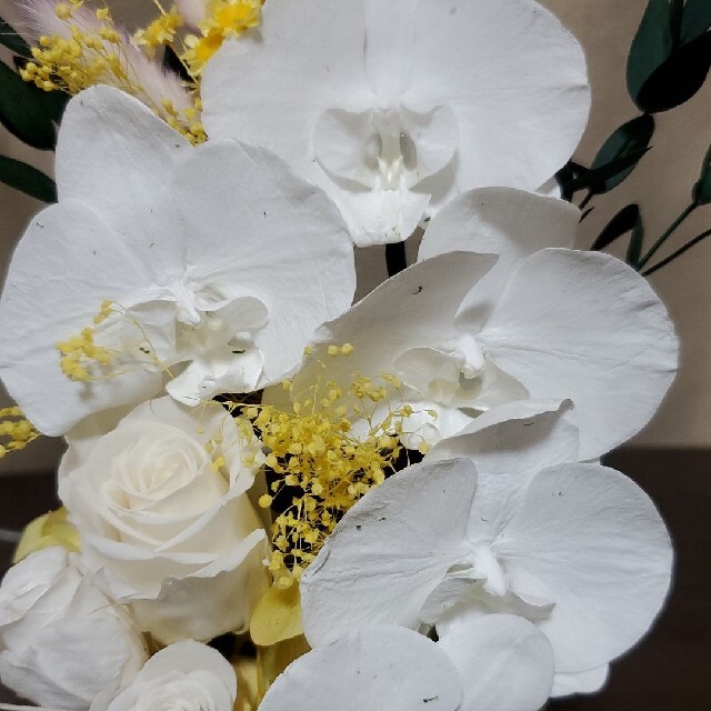 特選 仏花 お供え花 ガラスドーム 胡蝶蘭 プリザーブドフラワー 特選 仏花 お供え花 ガラスドーム 胡蝶蘭 プリザーブドフラワー