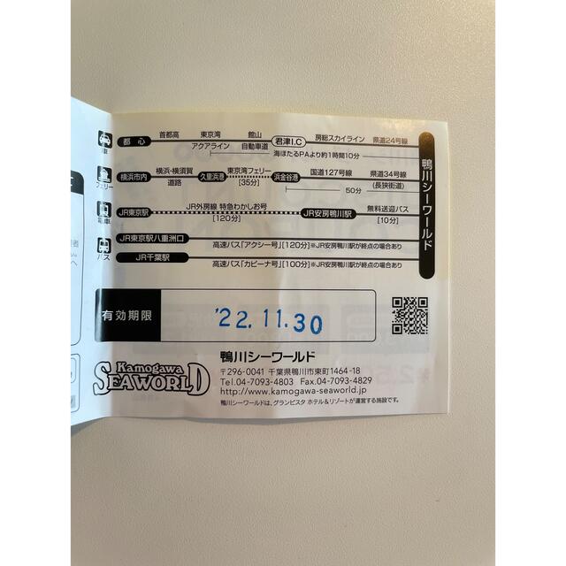 鴨川シーワールド　割引　チケット　クーポン チケットの施設利用券(水族館)の商品写真