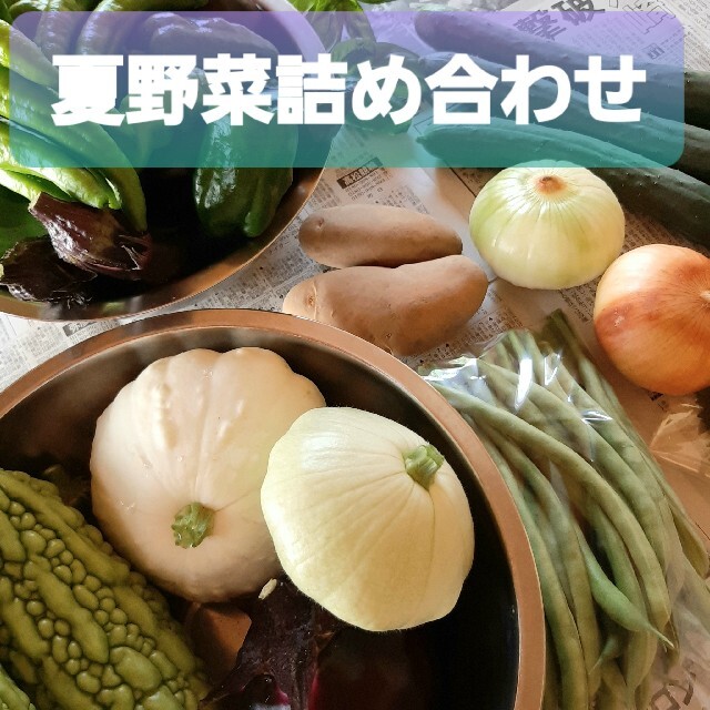 ☆夏野菜詰め合わせ☆ 朝採り 野菜セット ゆうパック 70サイズ 食品/飲料/酒の食品(野菜)の商品写真