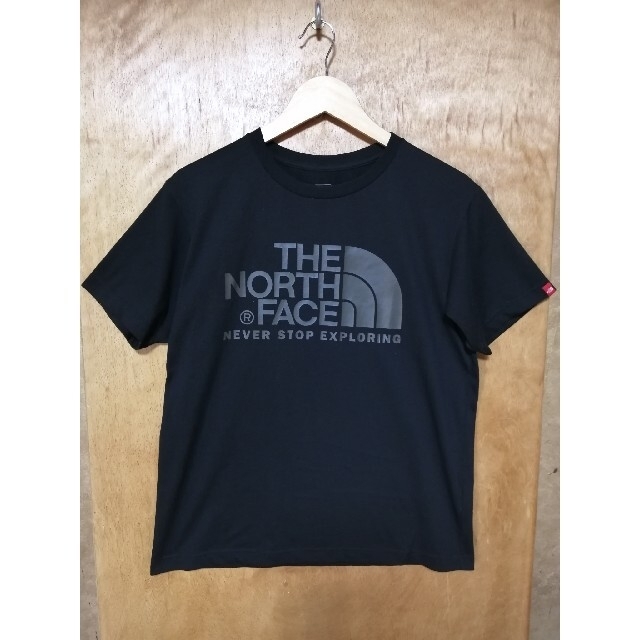 THE NORTH FACE(ザノースフェイス)の■大人気 ノースフェイス COLOR DOME T Lサイズ NT31620 メンズのトップス(Tシャツ/カットソー(半袖/袖なし))の商品写真