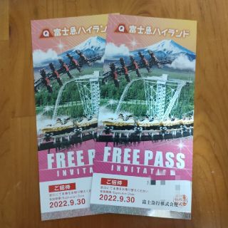 富士急ハイランド FREE PASS 2枚セット(遊園地/テーマパーク)