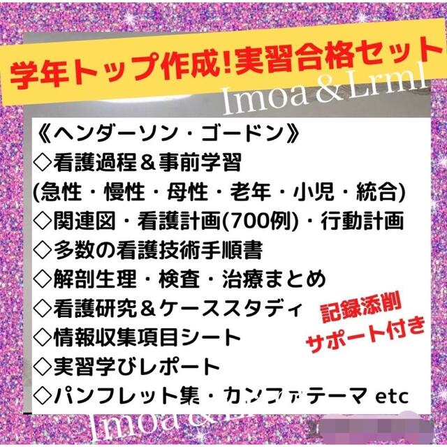 人気No2☆実習応援セット アセスメント www.jaiba.mg.gov.br