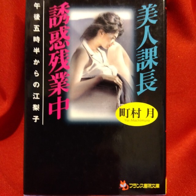 フランス書院３冊マドンナメイト文庫１冊 エンタメ/ホビーの本(文学/小説)の商品写真