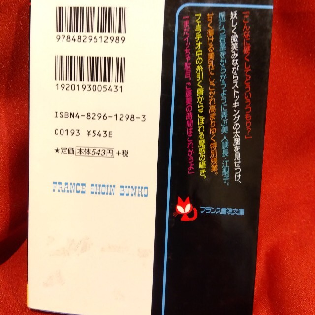 フランス書院３冊マドンナメイト文庫１冊 エンタメ/ホビーの本(文学/小説)の商品写真