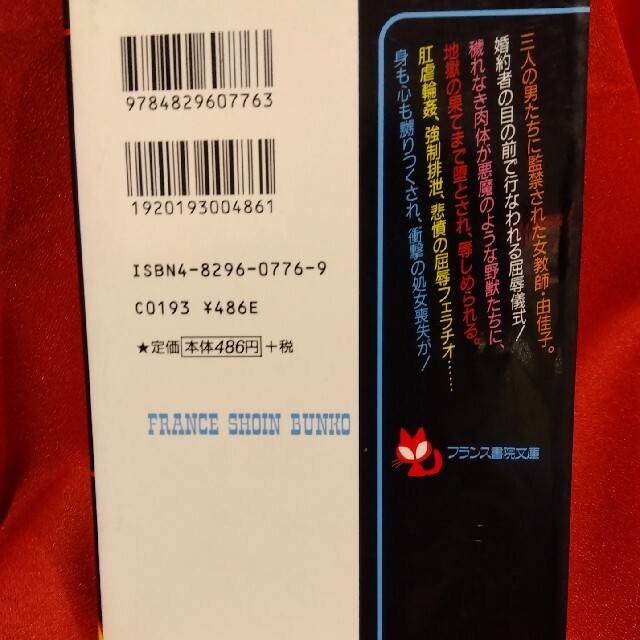 フランス書院３冊マドンナメイト文庫１冊 エンタメ/ホビーの本(文学/小説)の商品写真