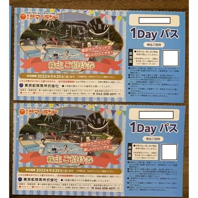 東京サマーランド 株主優待 株主ご招待券 プール 遊園 フリーパス 2枚