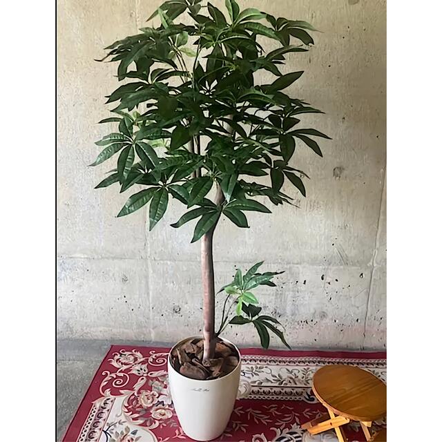 光触媒 人工観葉植物 ウォールグリーン フェイクグリーン パキラ1.25M