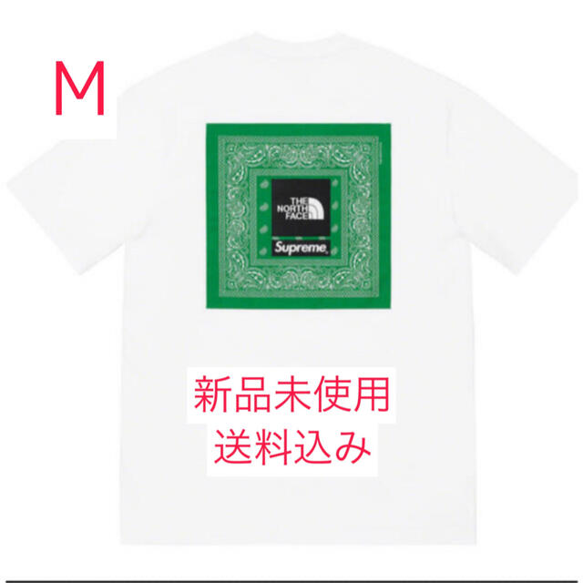 Supreme The North Face  Bandana Tee Mboxlogo