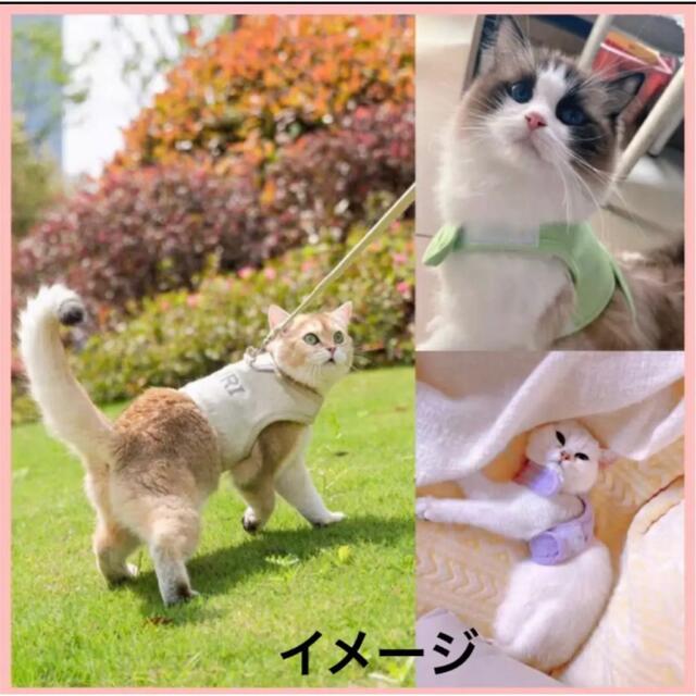 訳あり商品　猫用ハーネス 猫用ハーネスリード 猫用リード 猫 ハーネス その他のペット用品(猫)の商品写真