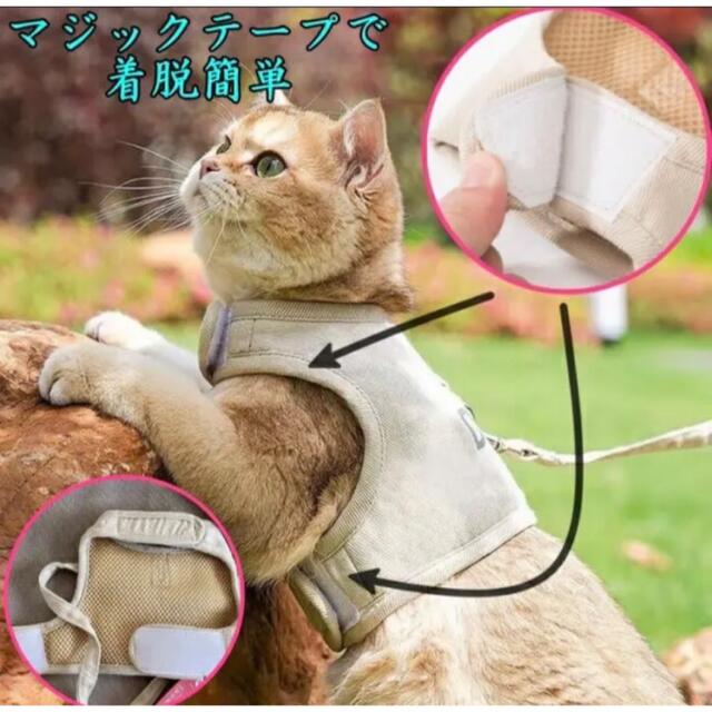 訳あり商品 猫用ハーネス 猫用ハーネスリード 猫用リード 猫 ハーネス