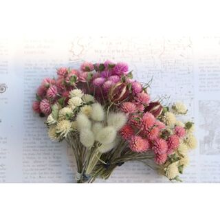 今季収穫千日紅短100本&ニゲラ&ラグラスの花材セット(ドライフラワー)