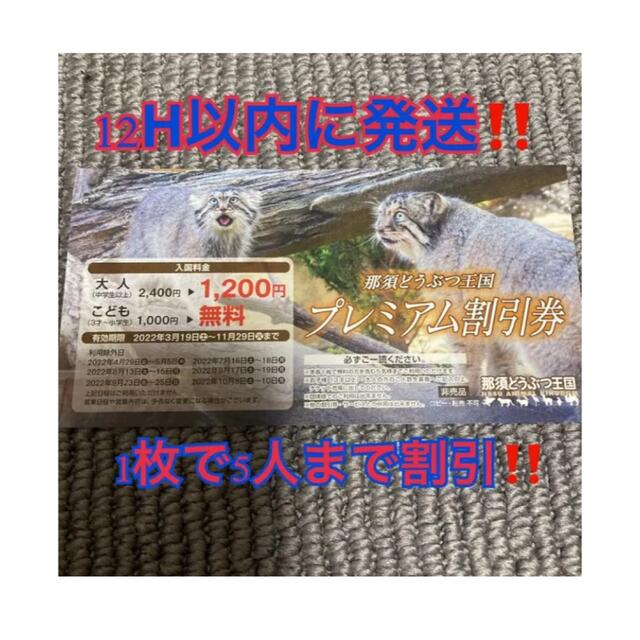 那須動物王国　プレミアム割引券 チケットの施設利用券(動物園)の商品写真