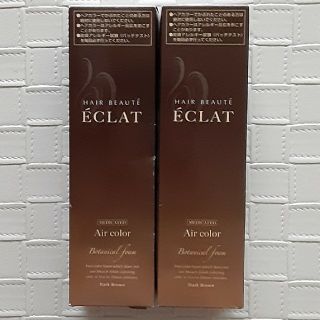 ヘアボーテ エクラ ボタニカル エアカラーフォーム ダークブラウン 150g×2(白髪染め)