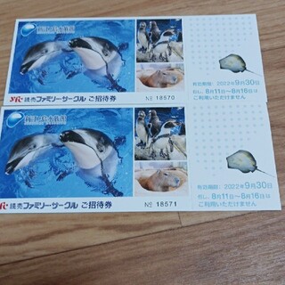 新江ノ島水族館ご招待券(水族館)