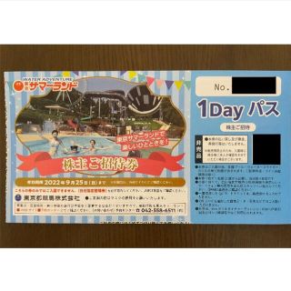 1枚 東京サマーランド 株主優待券 1dayパス(遊園地/テーマパーク)