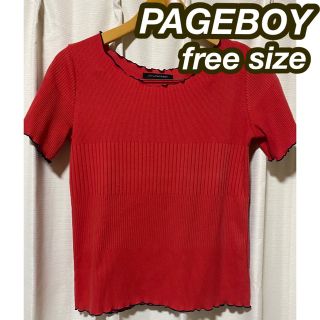 ページボーイ(PAGEBOY)の【即日発送】PAGEBOY    ニットトップス   フリーサイズ(カットソー(半袖/袖なし))