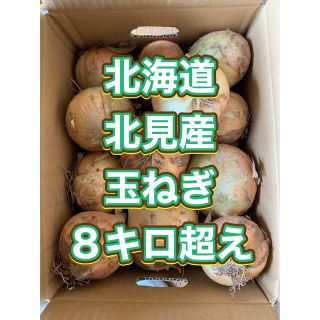 北海道産　新玉ねぎ　８キロ(野菜)