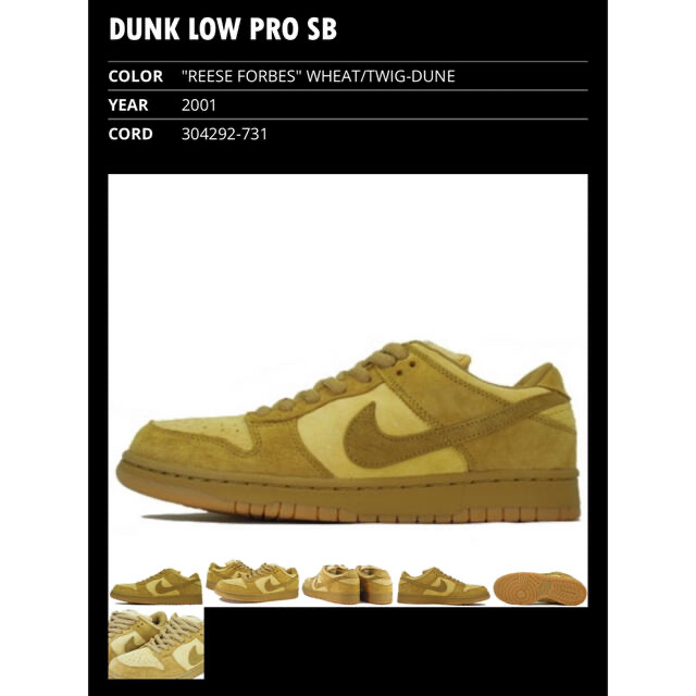 レア　NIKE DUNK LOW PRO SB "REEASE FORBES"