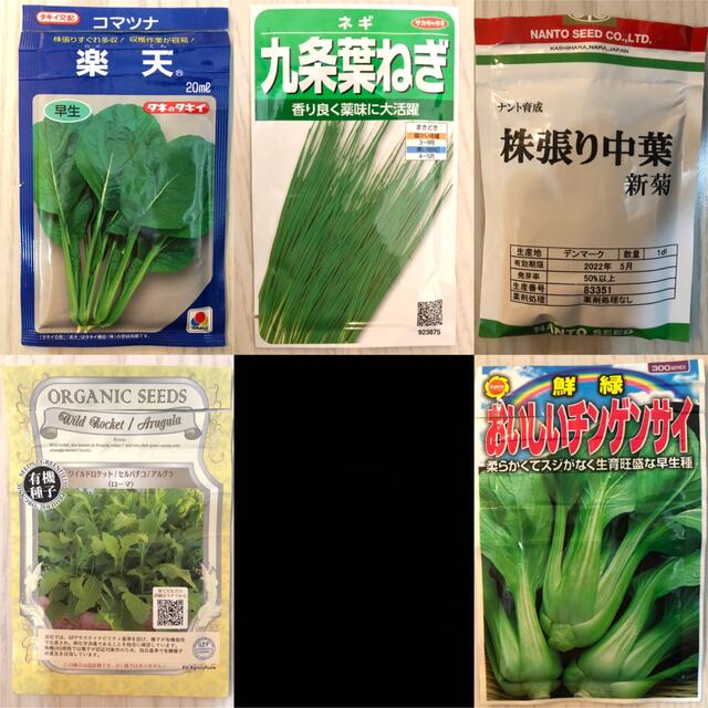 野菜の種　5種セット 食品/飲料/酒の食品(野菜)の商品写真