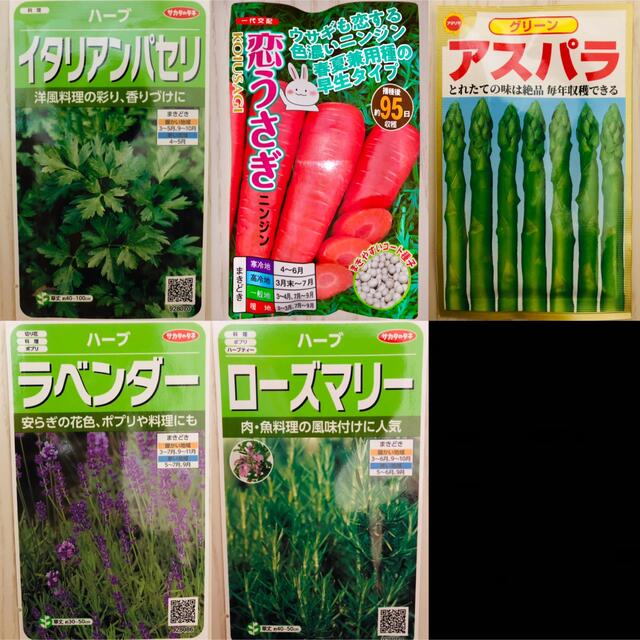 野菜の種　5種セット 食品/飲料/酒の食品(野菜)の商品写真