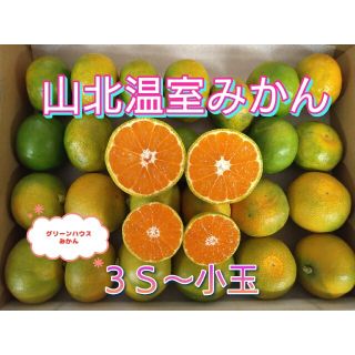 山北温室みかん 興津早生【緑】3S～小玉 1㎏ 高知県産 宅配便コンパクト(フルーツ)