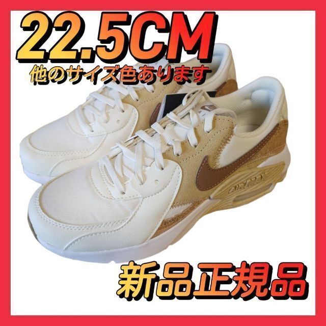 最終価格！【新品タグ付き】ウィメンズ　NIKE　エアマックスAP　22.5cm