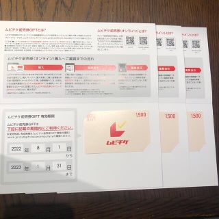 ムビチケ前売券GIFT 4500円分(その他)