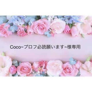 Coco~プロフ必読願います~様専用(しおり/ステッカー)