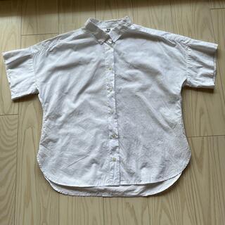 ユニクロ(UNIQLO)のユニクロソフトコットンシャツsサイズ(シャツ/ブラウス(半袖/袖なし))