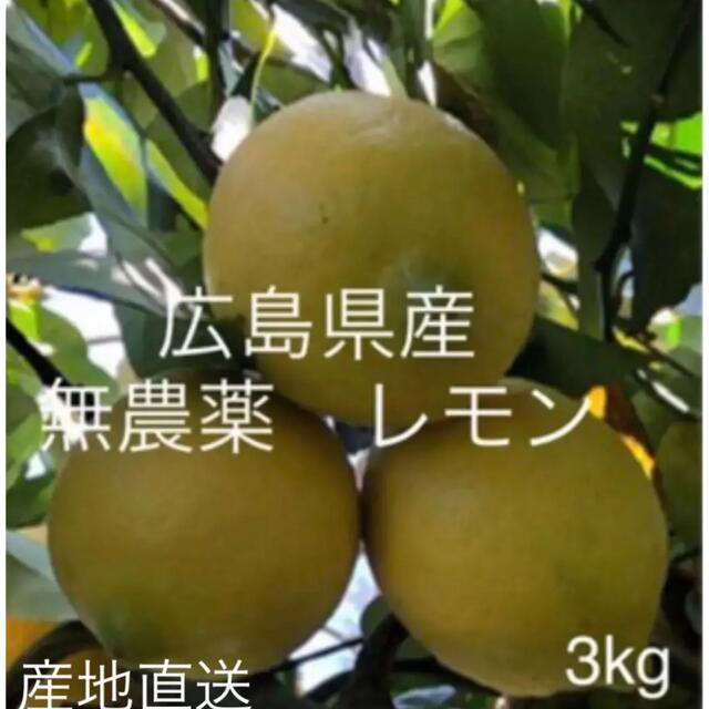 国産　レモン　広島県産　無農薬　レモン　瀬戸内レモン　3kg 以上　産地直送 食品/飲料/酒の食品(フルーツ)の商品写真