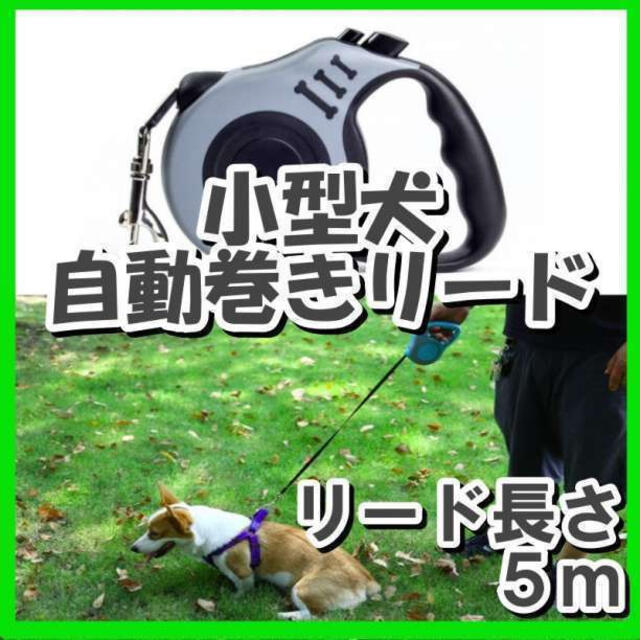 新品 犬用リード 自動巻き取り 伸縮リード ロック 散歩 5m その他のペット用品(犬)の商品写真