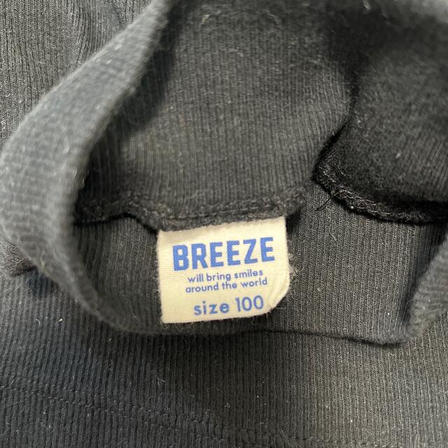 BREEZE(ブリーズ)のブリーズ100 キッズ/ベビー/マタニティのキッズ服女の子用(90cm~)(Tシャツ/カットソー)の商品写真