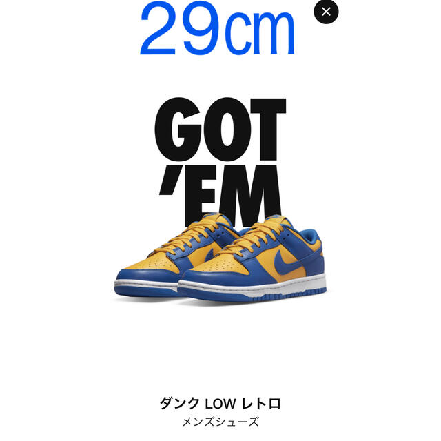 NIKE DUNK LOW ナイキ ダンクロー　29センチ | フリマアプリ ラクマ