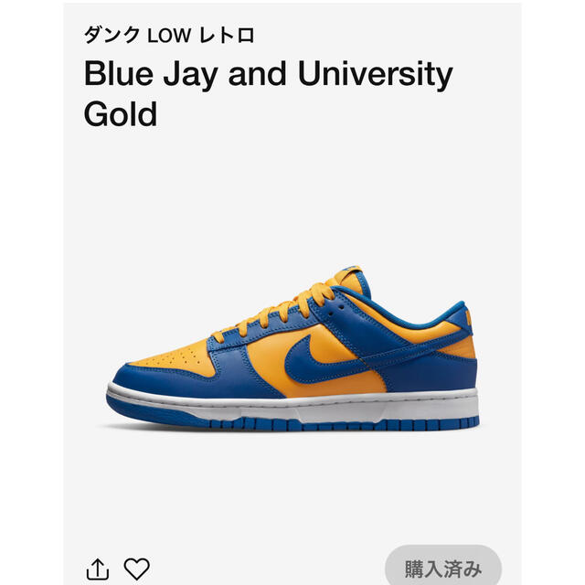 NIKE DUNK LOW "MICHIGAN" ナイキ ダンク ロー 29