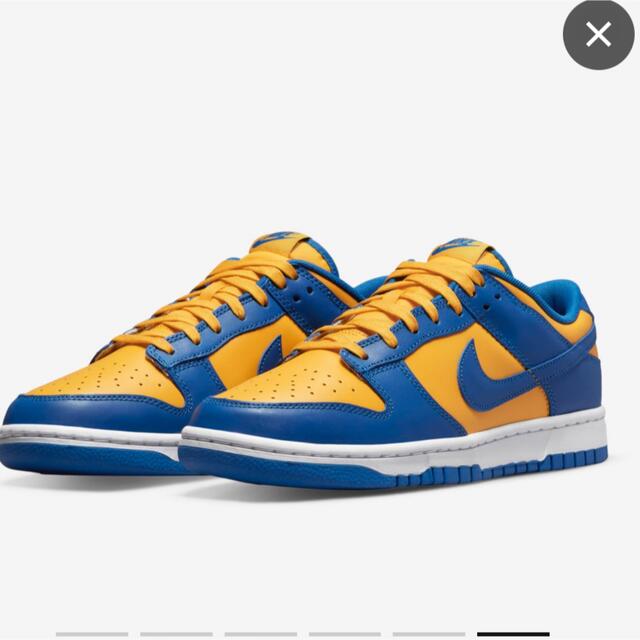 NIKE DUNK LOW "MICHIGAN" ナイキ ダンク ロー 29