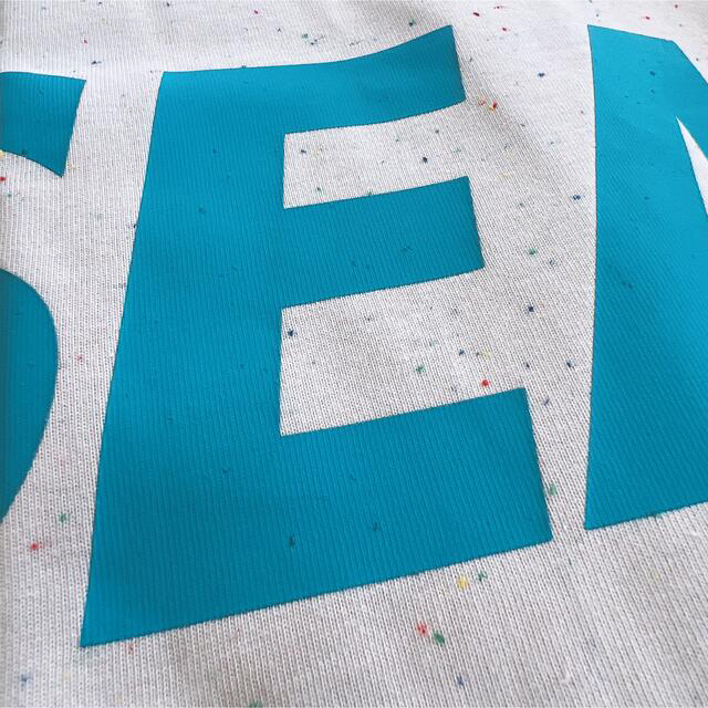最安挑戦! LOGO BIG SEA AND WIND Tシャツ 新品 ネップアイボリー/L T