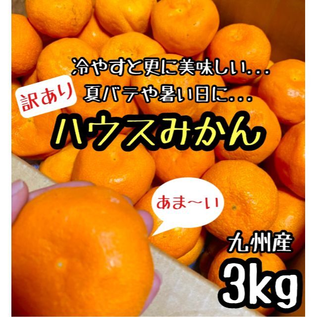 九州産◎訳あり ハウスみかん 3kg 食品/飲料/酒の食品(フルーツ)の商品写真