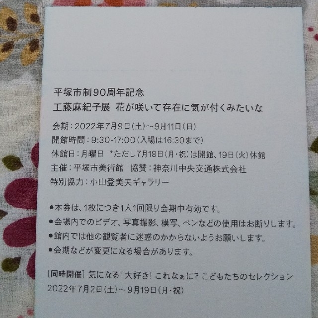 工藤麻紀子展 招待券2枚 平塚市美術館 チケットの施設利用券(美術館/博物館)の商品写真