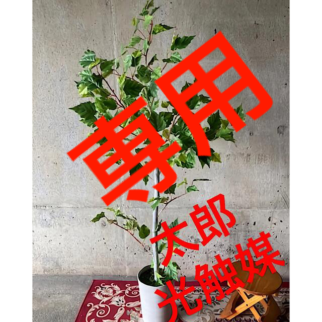 低反発 腰用 光触媒 人工観葉植物 ウォールグリーン フェイク フラワー
