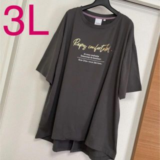 新品未使用タグ付き 3Lサイズ バックスリットTシャツ チュニック 大きいサイズ(Tシャツ(半袖/袖なし))