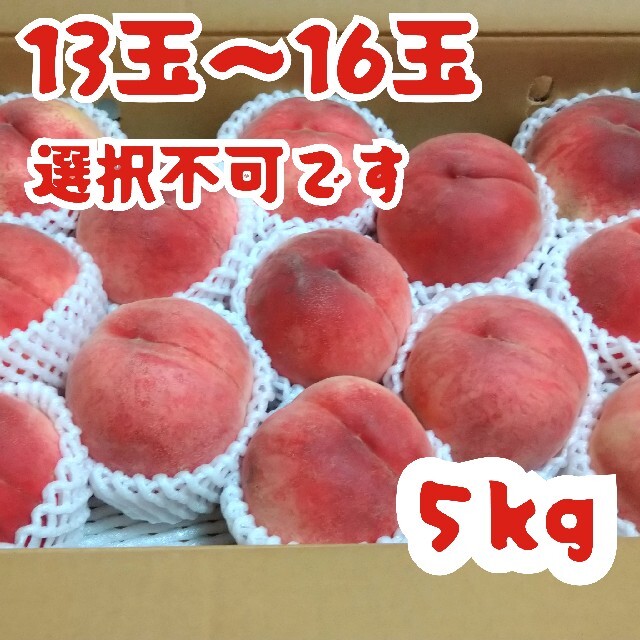 福島県産★ミスピーチ桃★最高ランク特秀品 食品/飲料/酒の食品(フルーツ)の商品写真