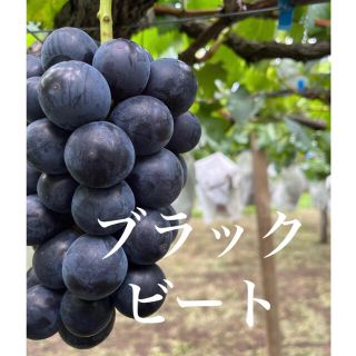 山梨県産ぶどう【ブラックビート】2kg 種なし(フルーツ)