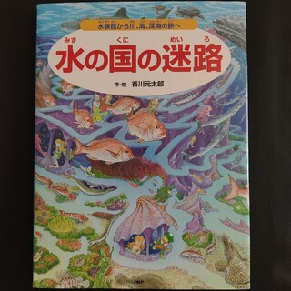 水の国の迷路 水族館から川、海、深海の旅へ(絵本/児童書)