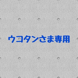 ウコタンさま専用です。(その他)