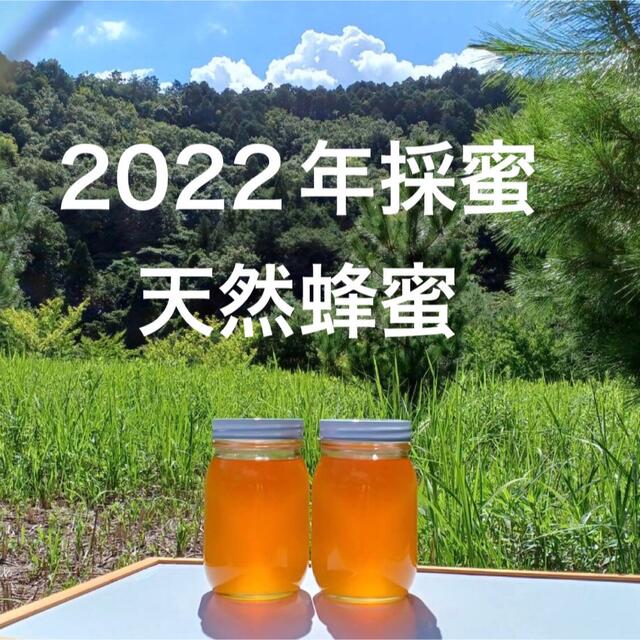 新蜜 天然蜂蜜 百花蜜 国産 蜂蜜 非加熱 生はちみつ 岐阜県産 1.1kg