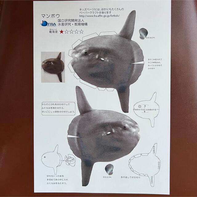 ペーパークラフト お魚4種セット リアル タチウオ マダイ ペーパークラフト お魚4種セット リアル タチウオ マダイ