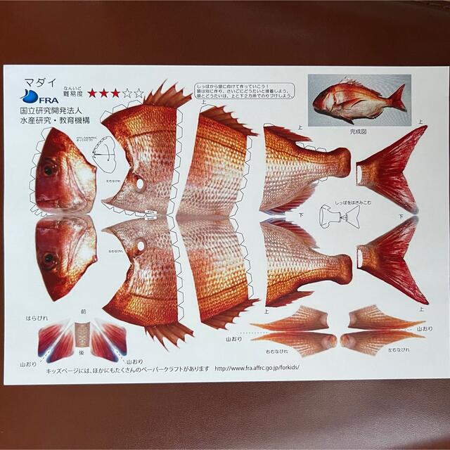 ペーパークラフト お魚4種セット リアル タチウオ マダイ ペーパークラフト お魚4種セット リアル タチウオ マダイ